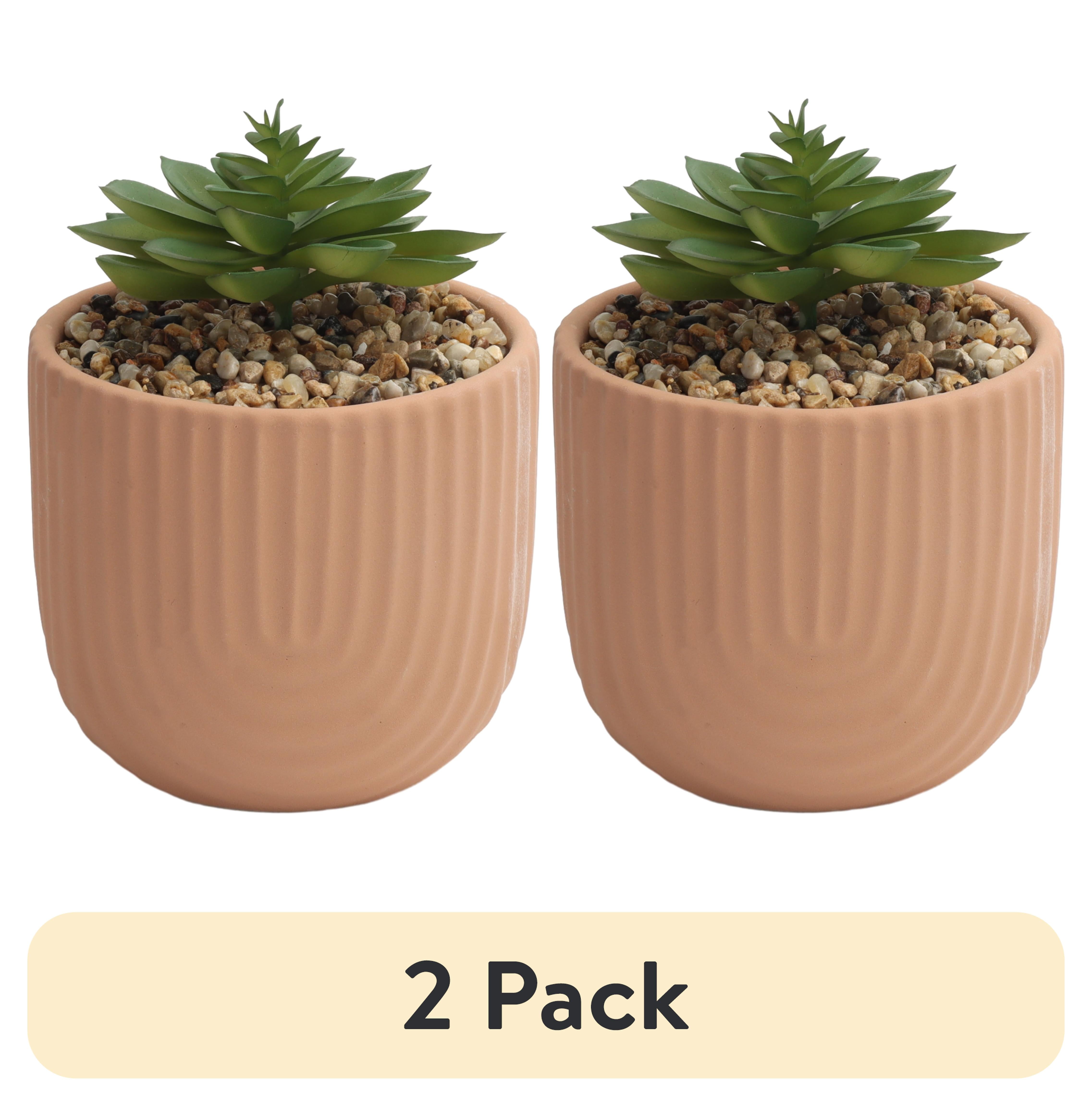 (2 pack) Home Decor Collection Indoor Arched Designed Terracotta 6.4" Pot with Faux Succulent Tabletop Décor