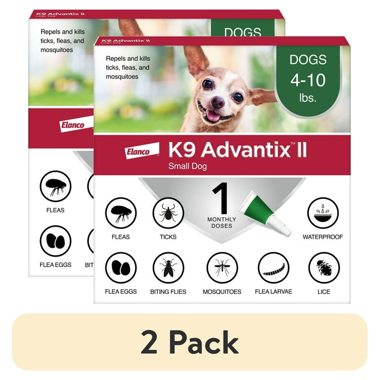 tick bite puppy tick and flea control