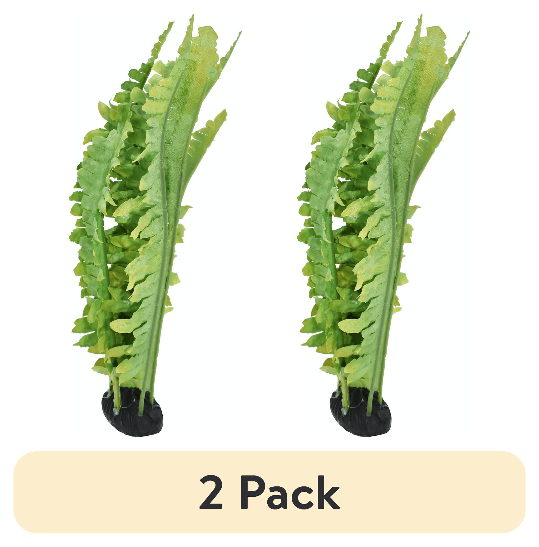 (2 pack) Komodo Reptile Green Artificial Silk Fern Plant for Tank, Aquarium Decor
