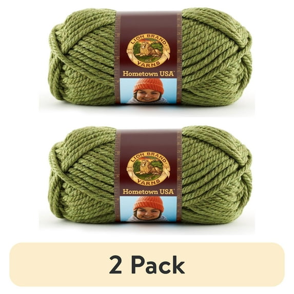 (2 pack) Lion Brand Yarn Hometown USA Oklahoma City Green 135-172 Classic Bulky Yarn