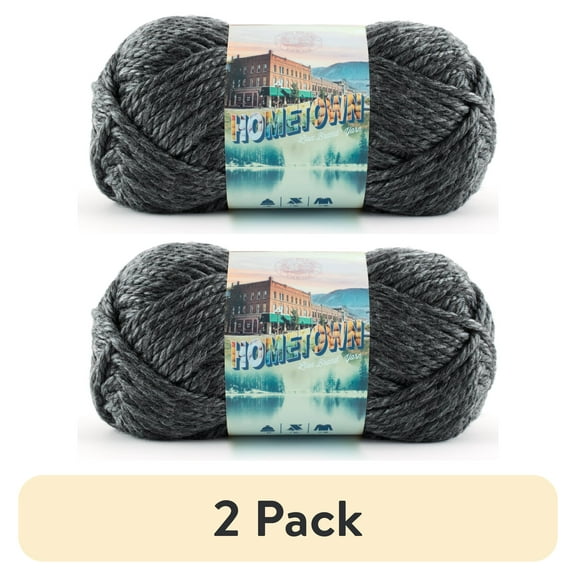 (2 pack) Lion Brand Yarn Hometown Chicago Charcoal 135-150 Super Bulky Acrylic Yarn