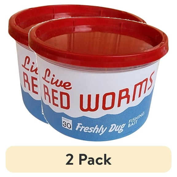 (2 pack) Live Red Worms - 30 Count - 2" to 4" - Perfect Size for Most Fish Including Trout, Bass, Etc.
