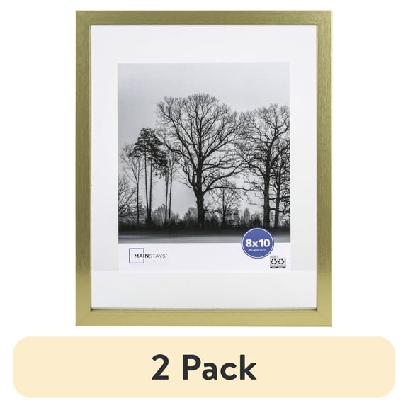 (2 pack) Mainstays 11 x 14 Gold Float Picture Frame, Matted for 8 x 10 Photo