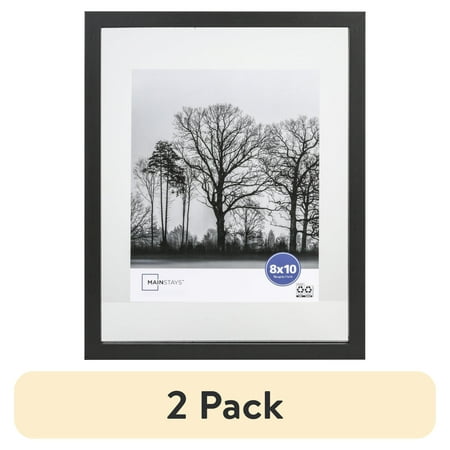 (2 pack) Mainstays – 8x10 Picture Frame – Black Float Frame Linear Program Wall Photo Frame