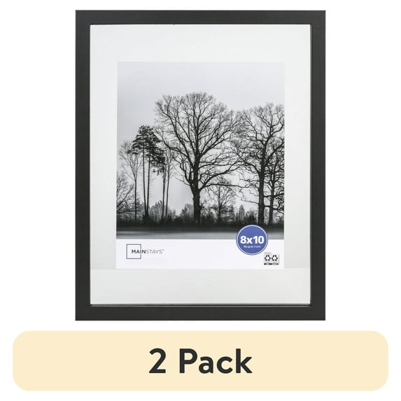 (2 pack) Mainstays 11x14 Float to 8x10 Linear Float Black Picture Frame