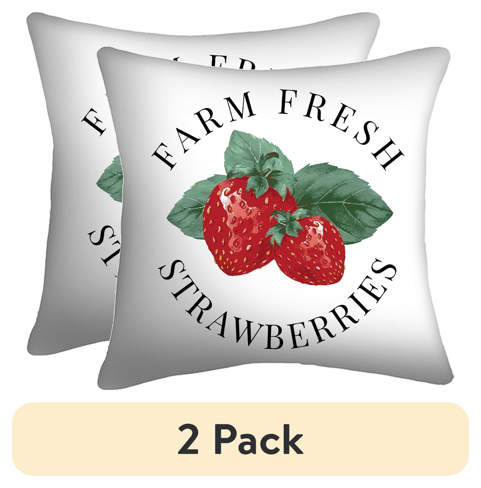 (2 pack) Mainstays 16" x 16" Strawberry Farm Decorative Outdoor Throw Pillow, Red/White