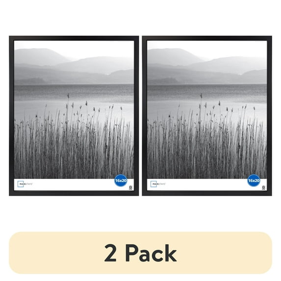 (2 pack) Mainstays 16x20 Linear Gallery Wall Picture Frame, Black