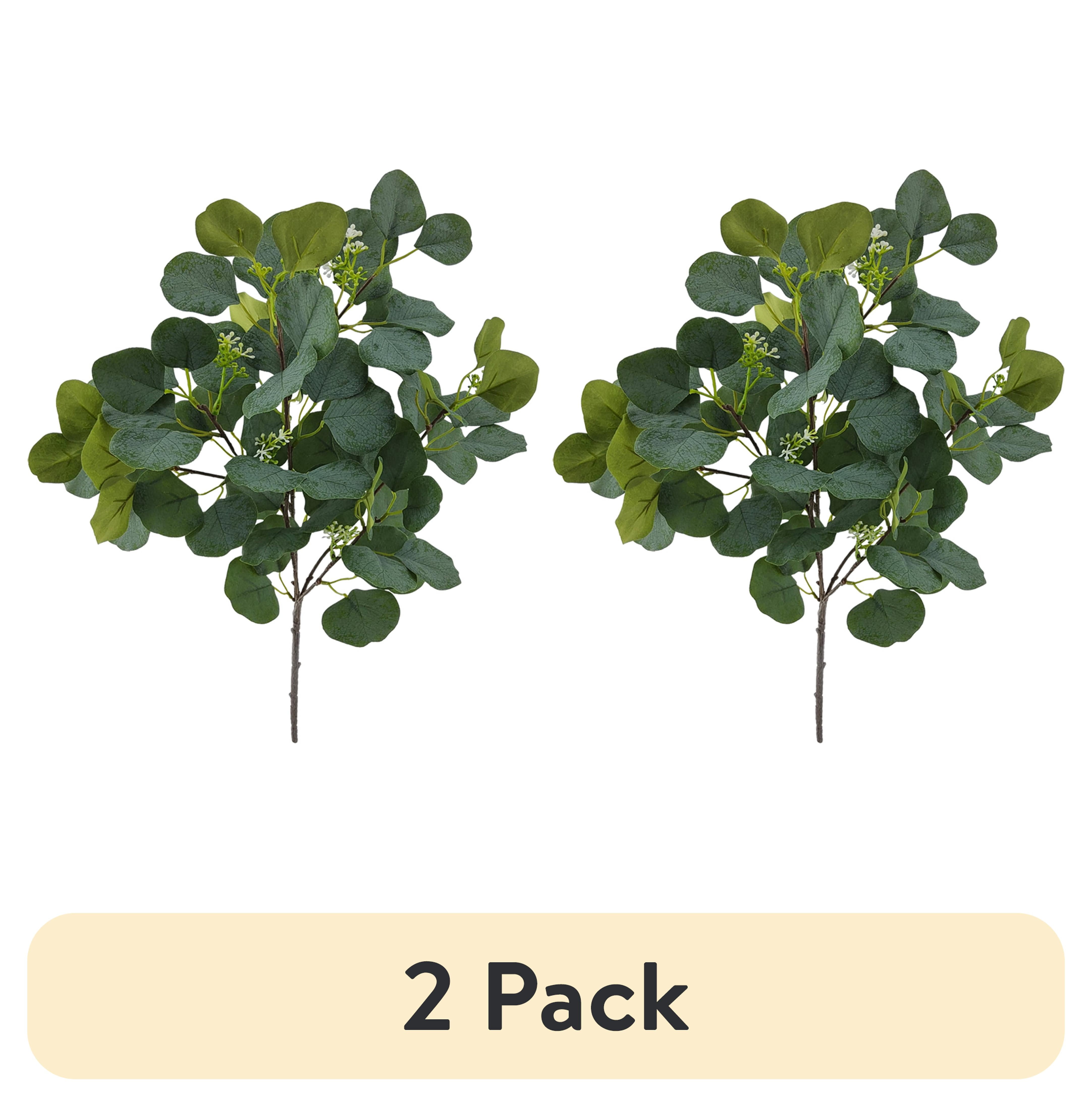 (2 pack) Mainstays 17.5in Indoor Artificial Eucalyptus Bush, Green Color. Weight: 0.11lb. Not in Pot.