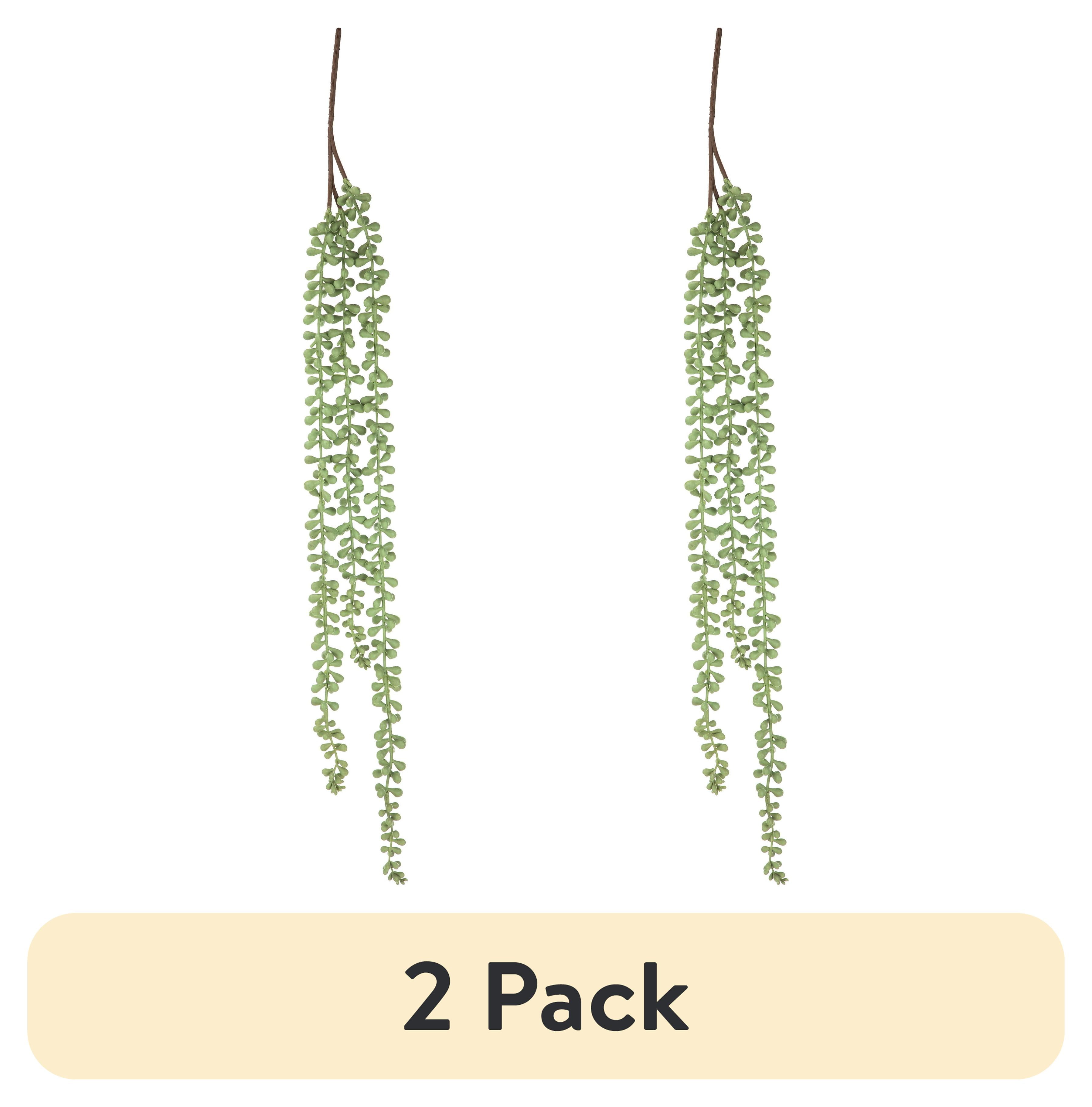 (2 pack) Mainstays 24" Artificial String of Pearls Succulent Pick, Light Green