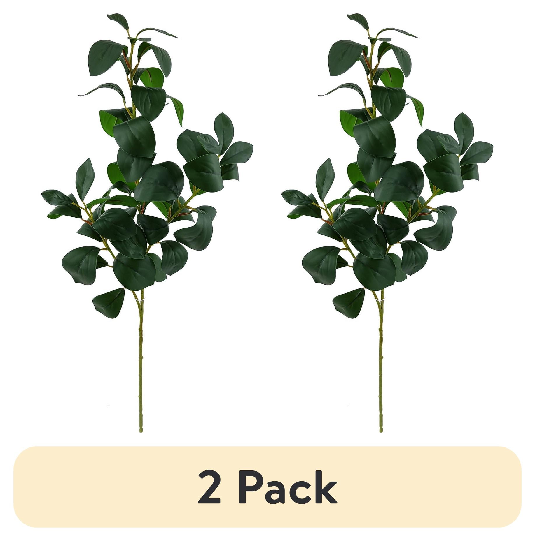 (2 pack) Mainstays 25.5" Indoor Artificial Foliage Stem, Peperomia, Green Color. Not in Pot.