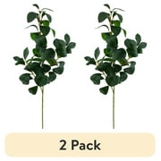 (2 pack) Mainstays 25.5" Indoor Artificial Foliage Stem, Peperomia, Green Color. Not in Pot.