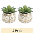 thumbnail interactive-video image 1 of (2 pack) Mainstays 4" Tabletop Artificial Succulent in Geometric Print Ceramic Pot, White, 1 of 7