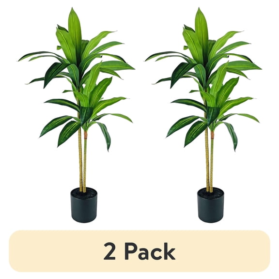 (2 pack) Mainstays Artificial Plant, Dracaena Artificial Plant, 3.3ft, Black Plastic Pot