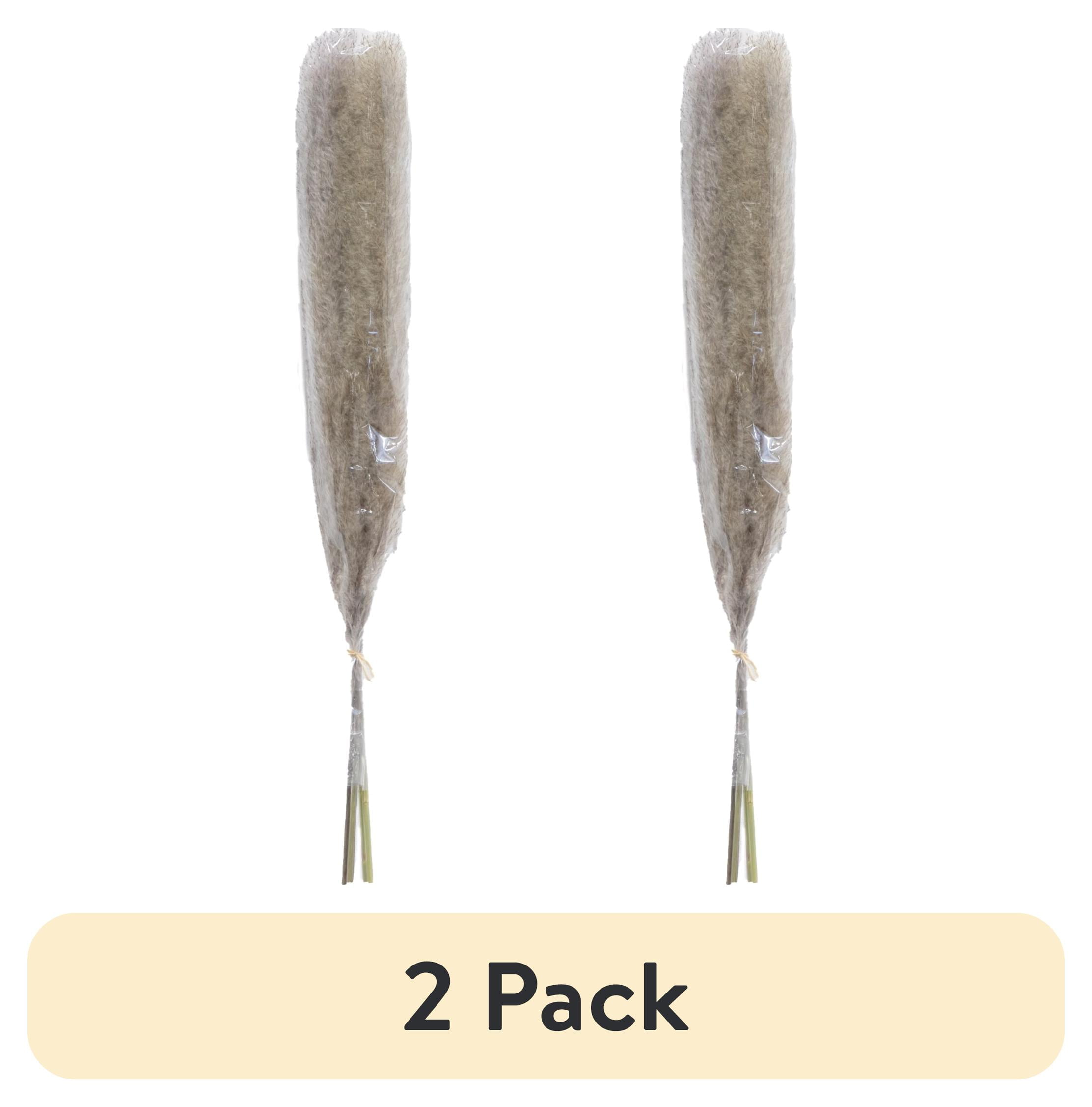 (2 pack) Mainstays 47"H Tall Decorative Natural Beige Pampas Grass