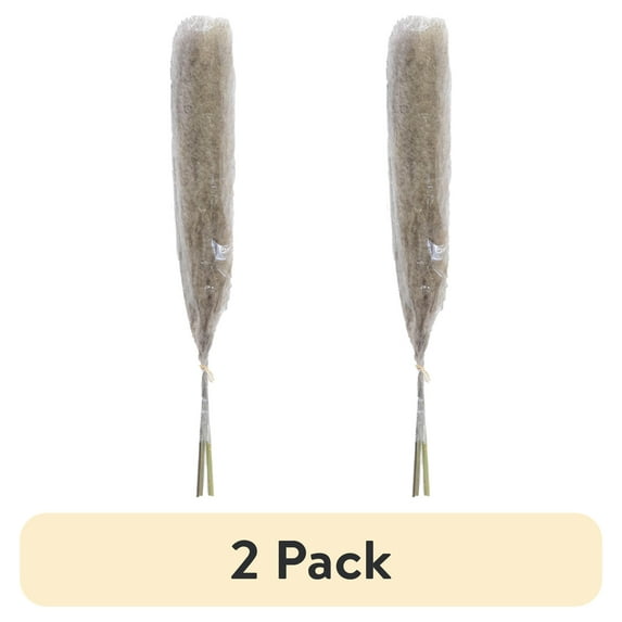(2 pack) Mainstays 47"H Tall Decorative Natural Beige Pampas Grass