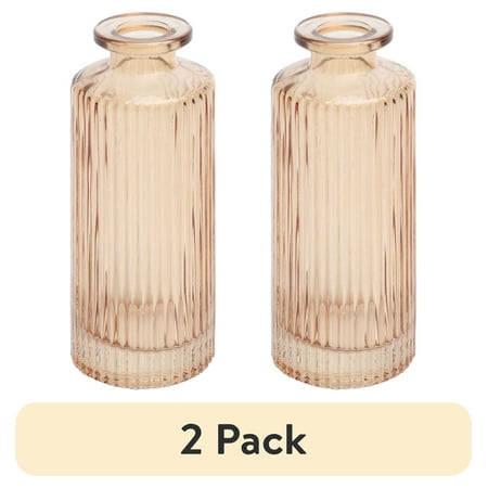(2 pack) Mainstays Mini Ribbed Translucent Glass Tabletop Indoor Vase, 5.2", Champagne price history and forecast - Mainstays 05823