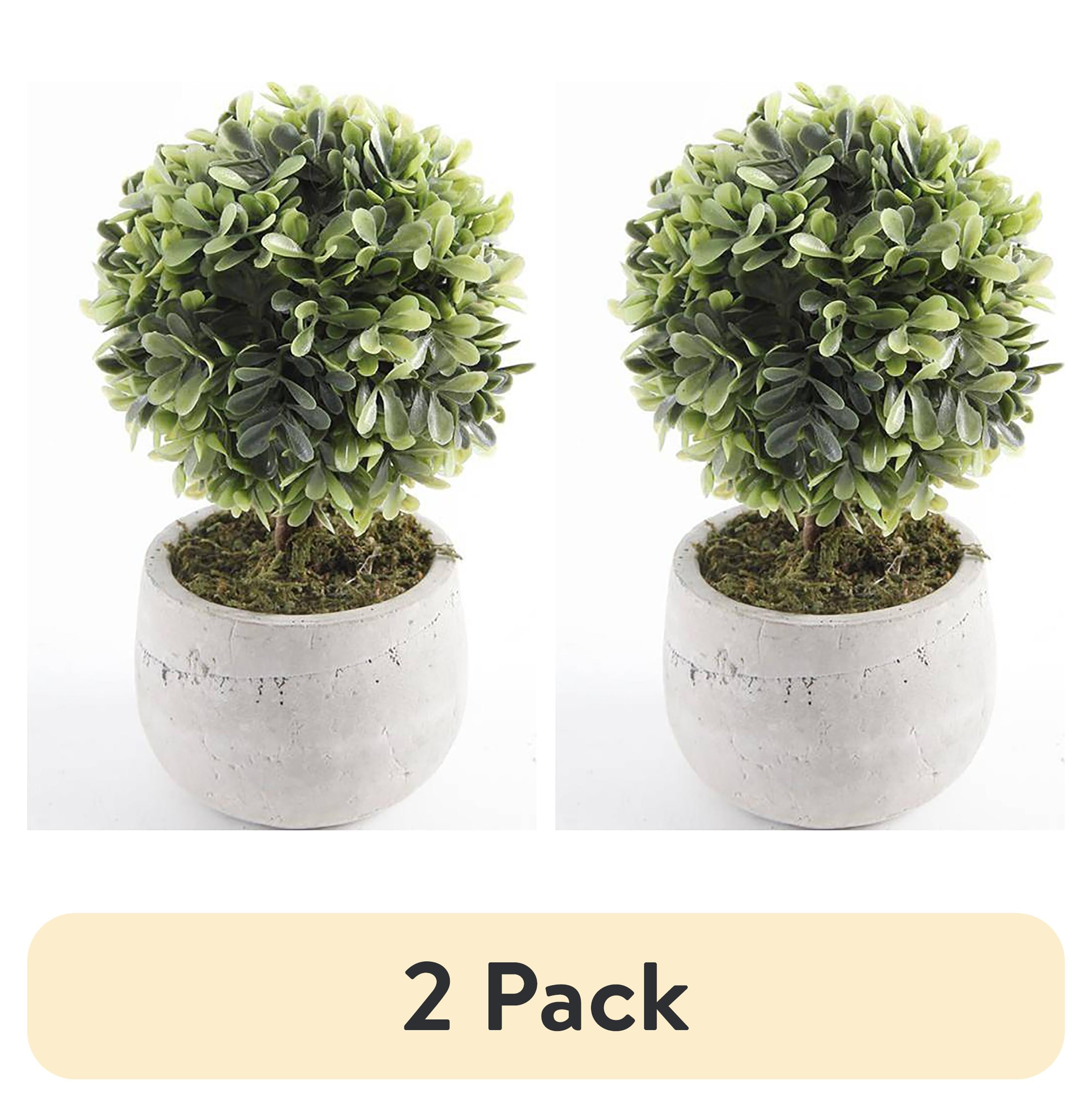 (2 pack) Mainstays 7.5" Artificial Mini Boxwood Topiary in Gray Cement Planter