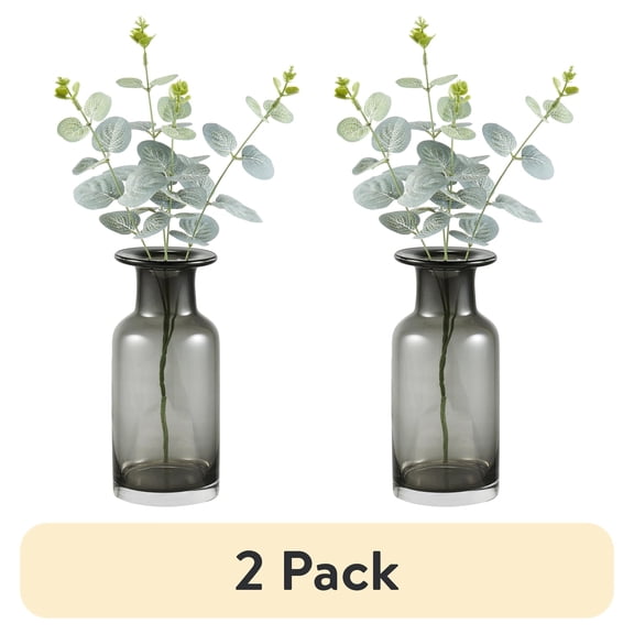 (2 pack) Mainstays 8" Smoked Black Indoor Glass Vase