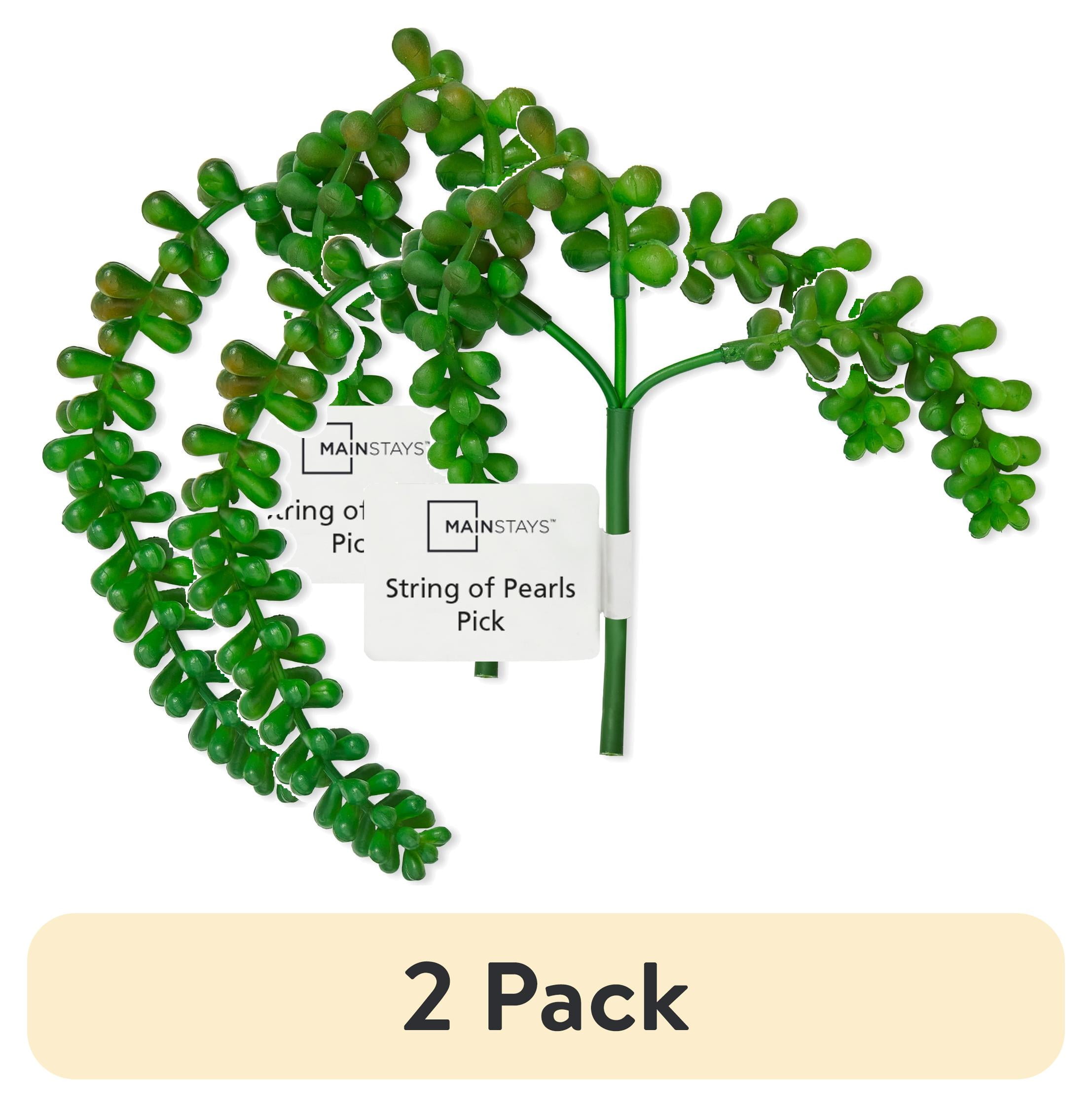 (2 pack) Mainstays Artificial Succulent Pick 12 inch Dark Green String of Pearls