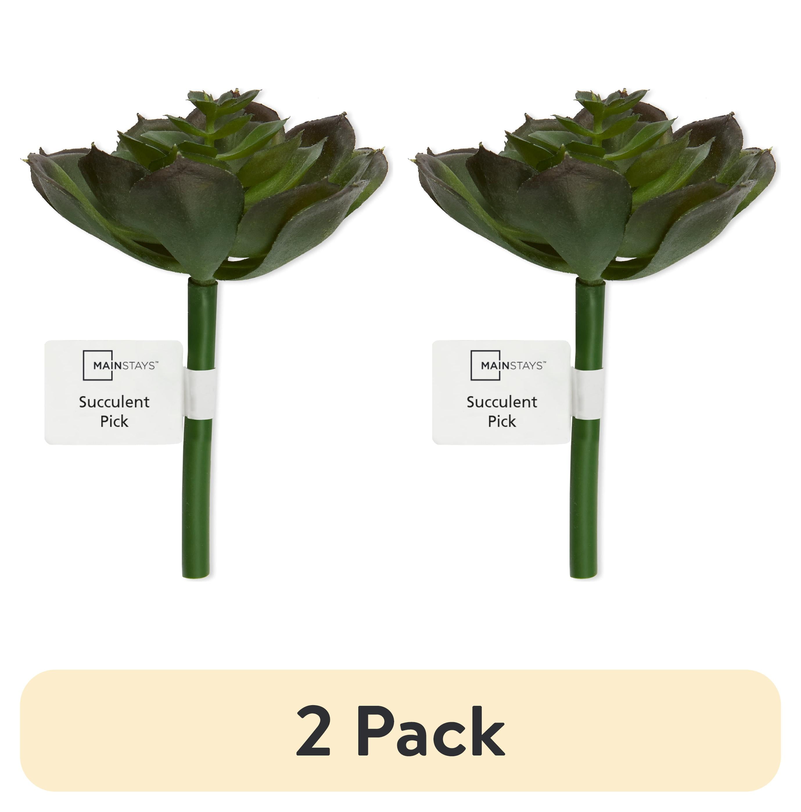 (2 pack) Mainstays Artificial Succulent Pick 3.25 inch x 4.75 inch Green Echeveria