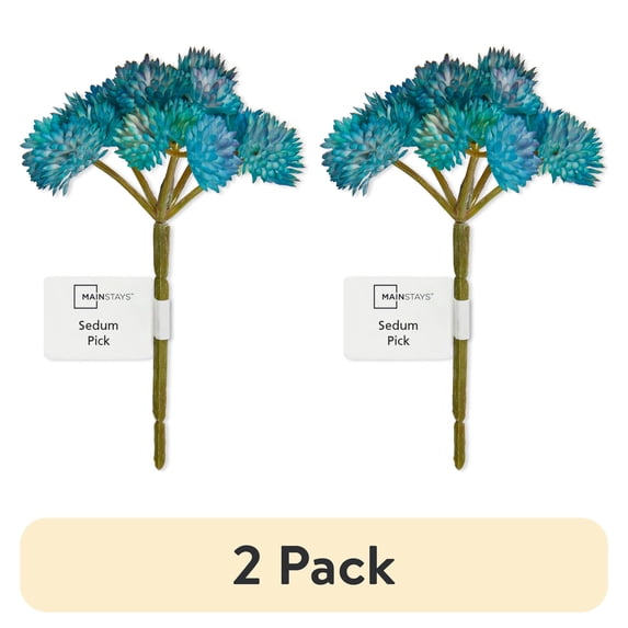(2 pack) Mainstays Artificial Succulent Pick 3.75 inch x 5 inch Blue Sedum
