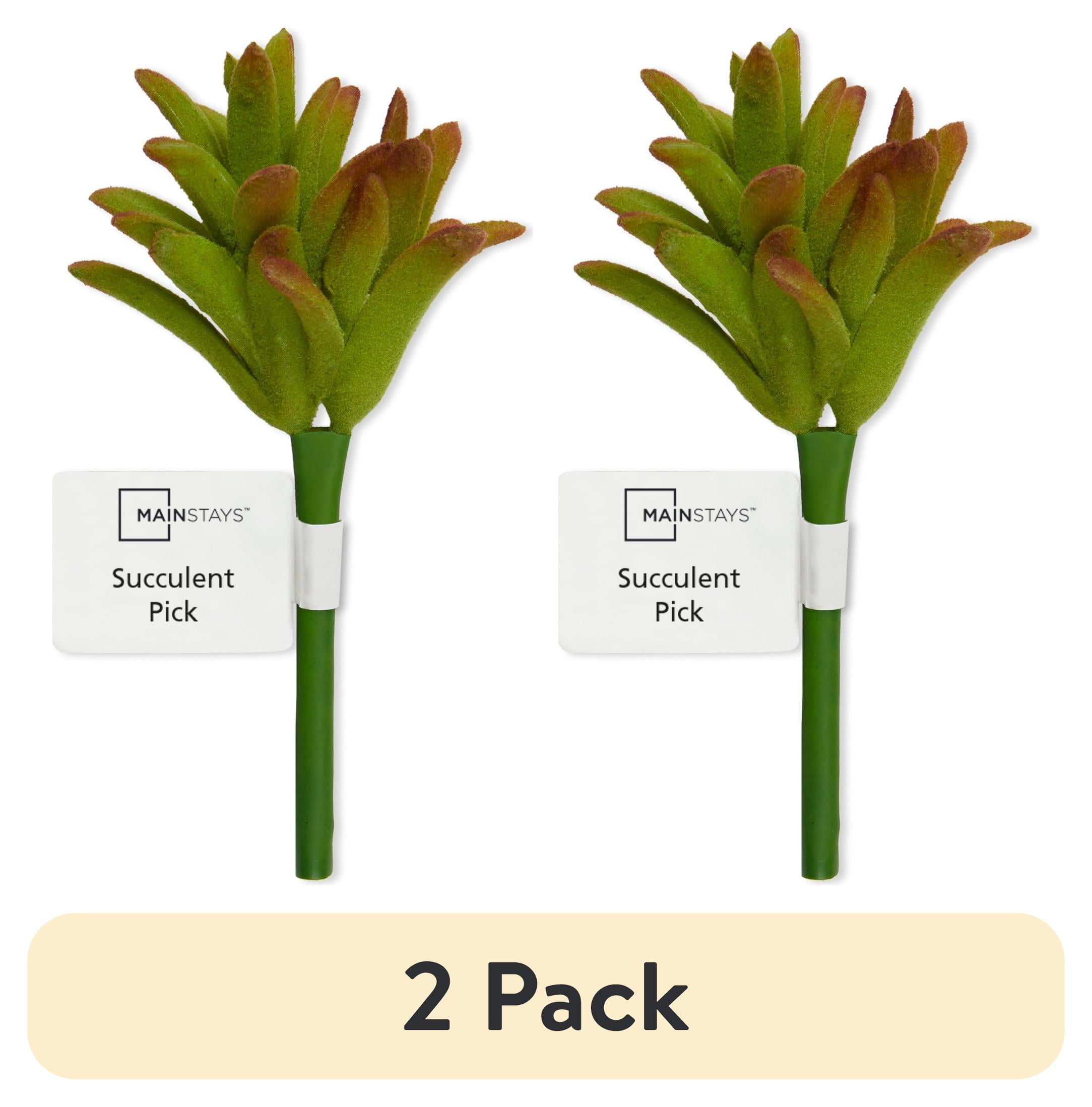 (2 pack) Mainstays Artificial Succulent Pick, 3 Inch x 5.5 Inch, Green with Red Tips