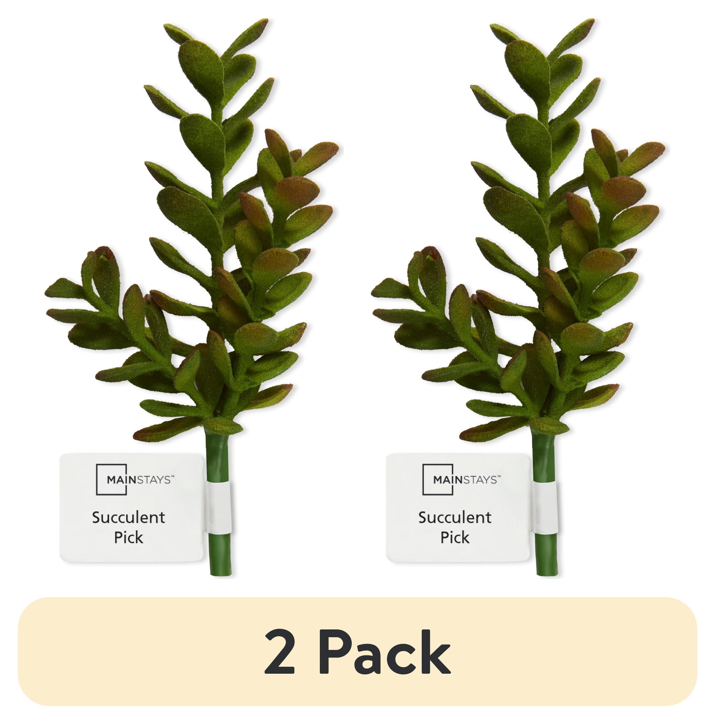 (2 pack) Mainstays Artificial Succulent Pick 4 inch x 7.5 inch Green