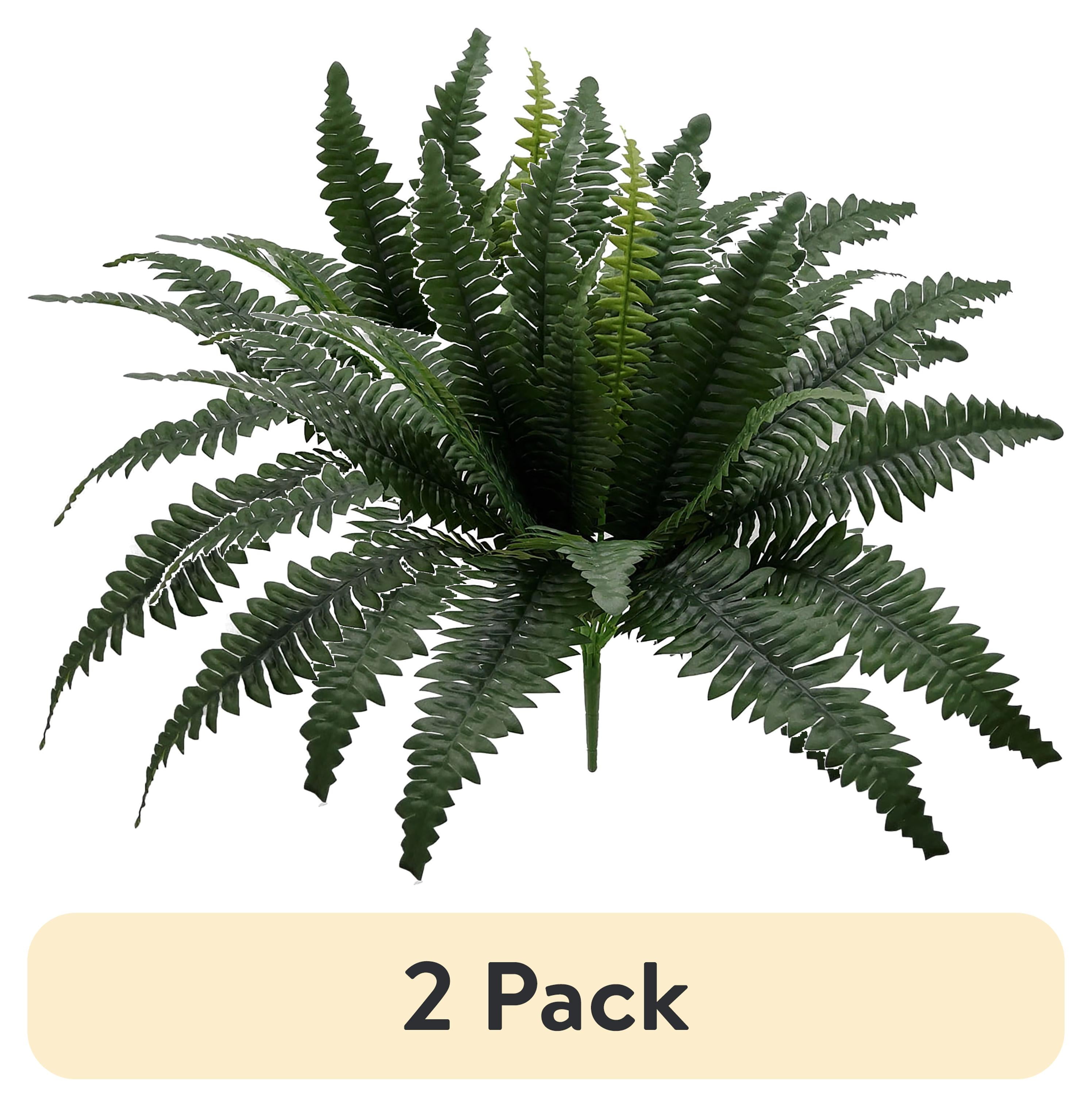 Fern Magic (2 pack) Mainstays Green Artificial Fern Bush, 21 Inch, Indoor ...