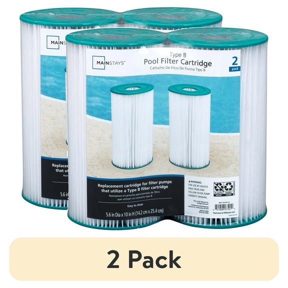 (2 pack) Mainstays Type IV, B Pool Filter Cartridge for Above-Ground Pool, 2 Pack