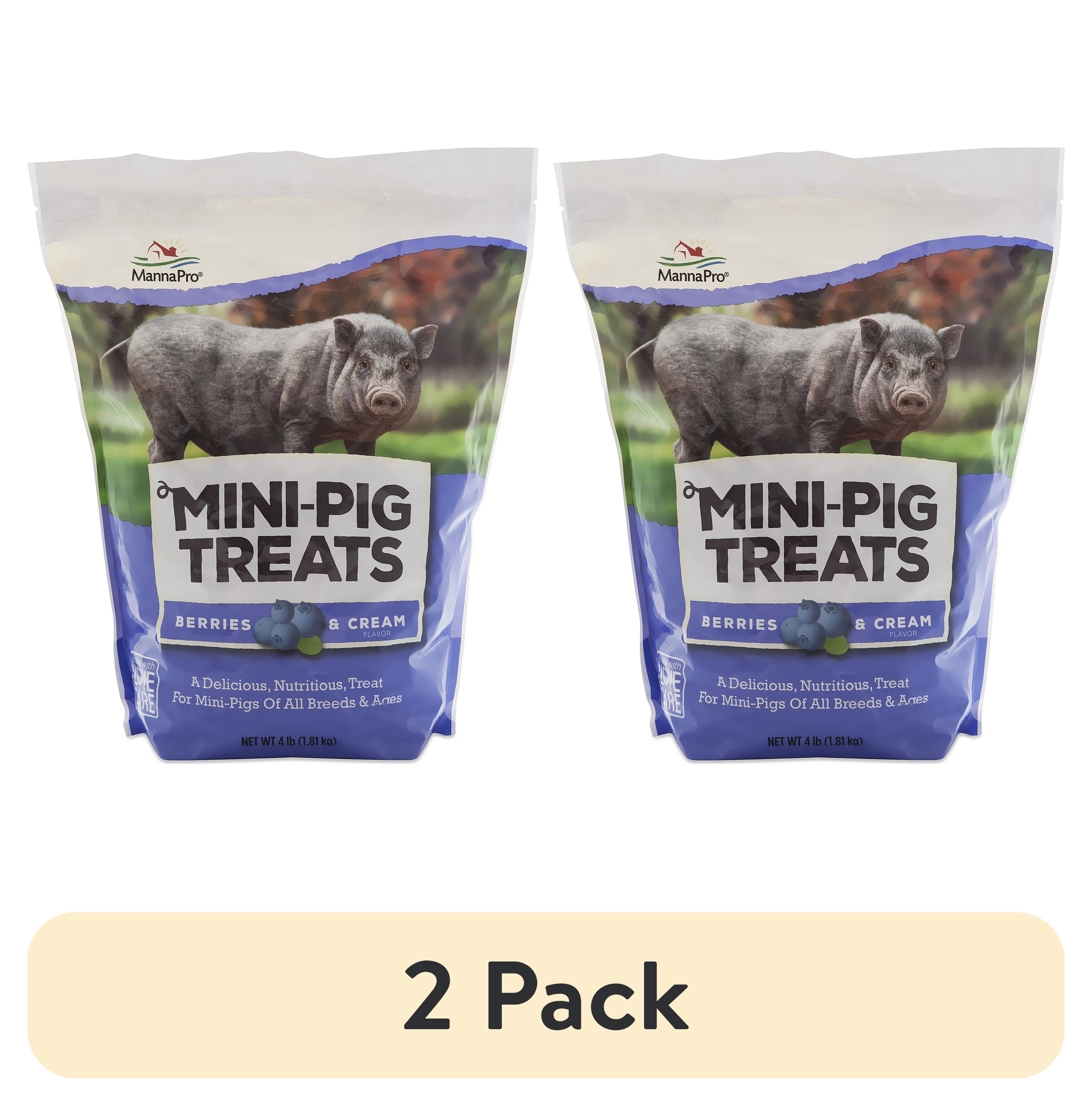 (2 pack) Manna Pro Mini Pig Treats - Berries and Cream Flavor, 4 lbs.