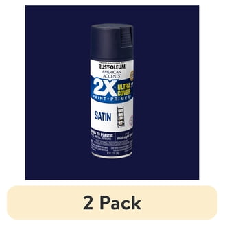 Rust-Oleum 249098 Painter's Touch Multi Purpose Spray Paint, 12
