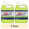 thumbnail image 1 of (2 pack) Mr. Clean Professional All Purpose Floor Cleaner, 1 Gallon, 1 of 7