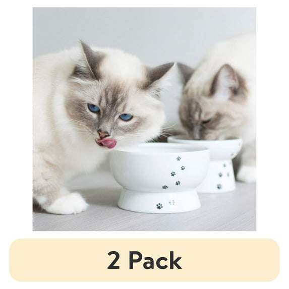 (2 pack) Necoichi Raised Cat Water Bowl, White