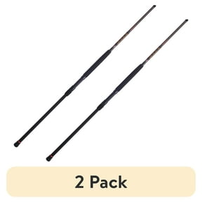 (2 pack) PENN Squadron® III Surf Spinning Rod, 10' Medium Heavy Fishing Rod, 2 Piece