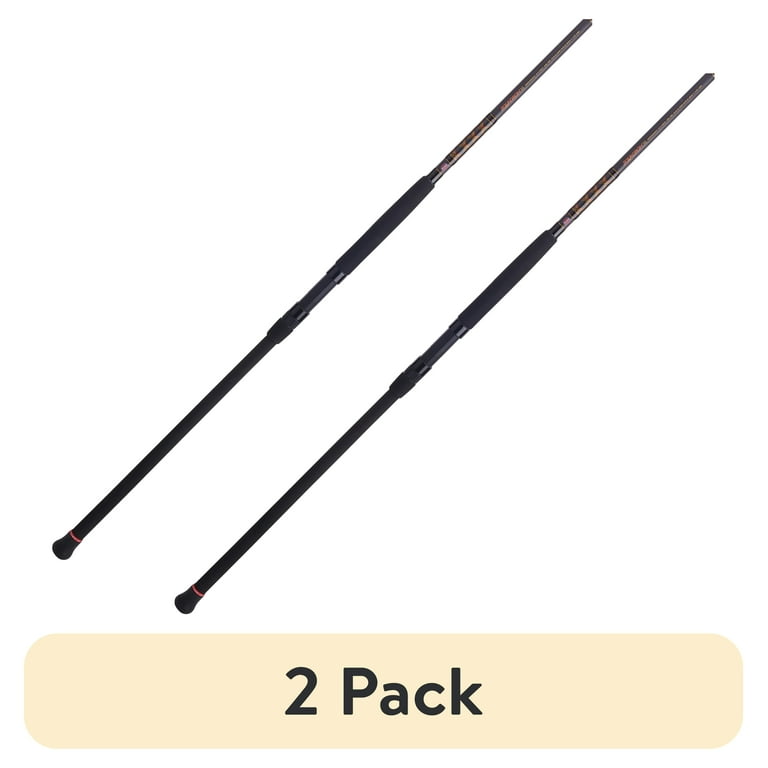 2 pack) PENN Squadron® III Surf Spinning Rod, 12' Heavy Fishing