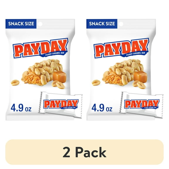 (2 pack) Payday Peanut Caramel Snack Size Candy, Bag 4.9 oz
