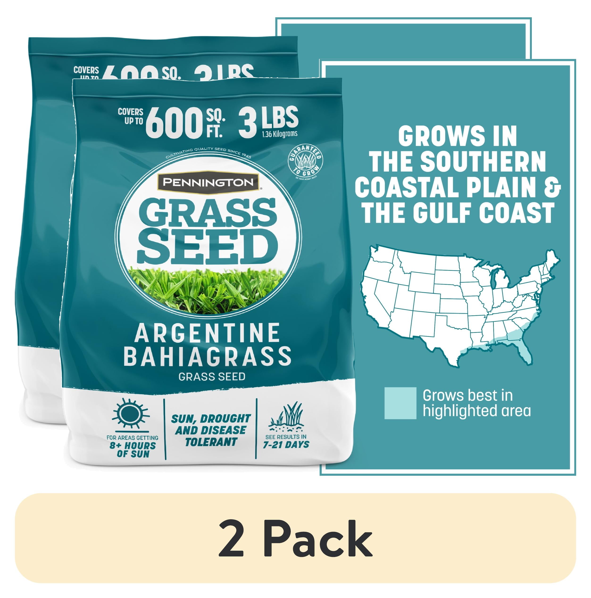 (2 pack) Pennington Argentine Bahiagrass Grass Seed, Grass Seed for Full Sun, 3 lb.