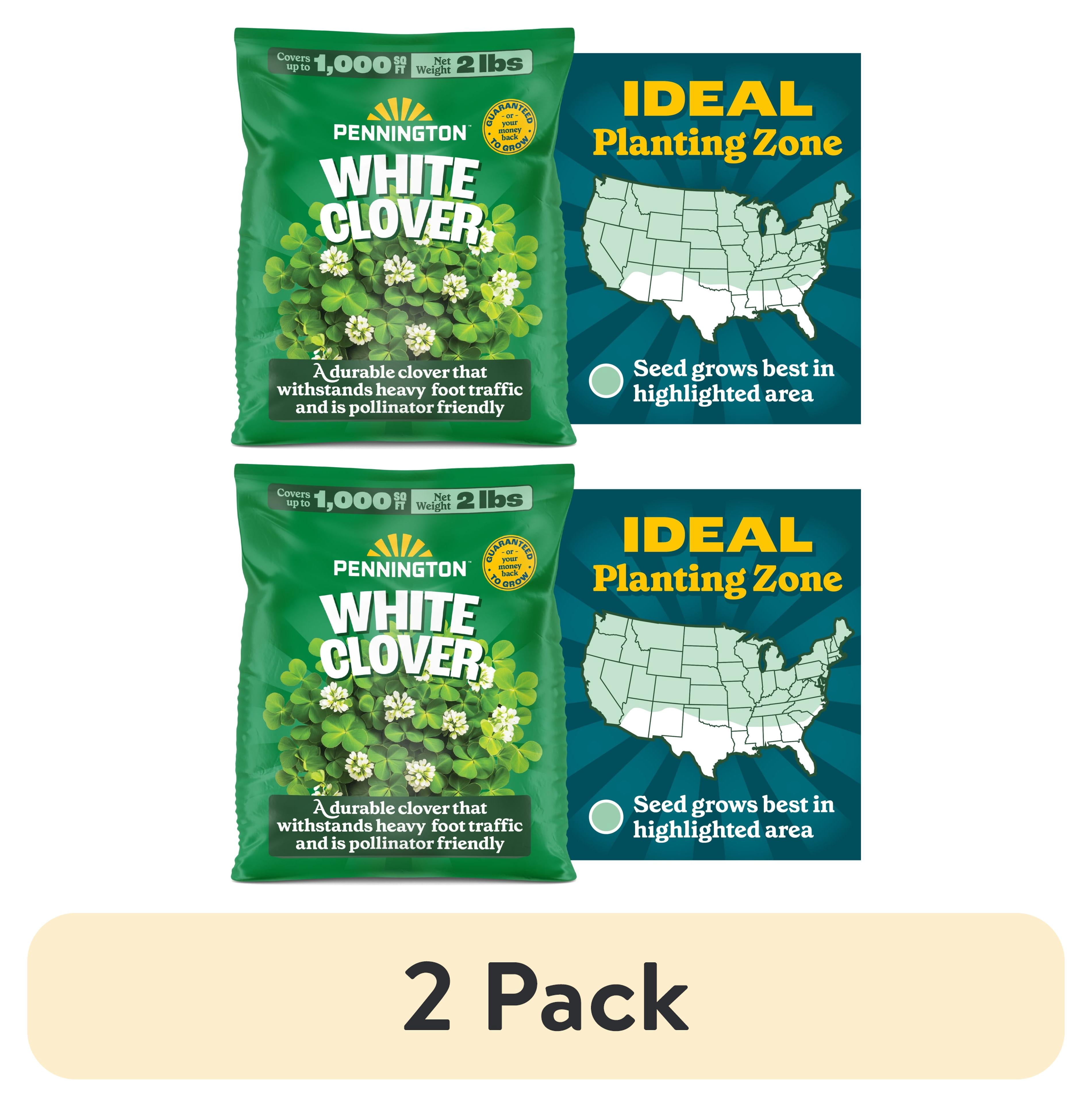 (2 pack) Pennington  White Clover Seed, 2lb
