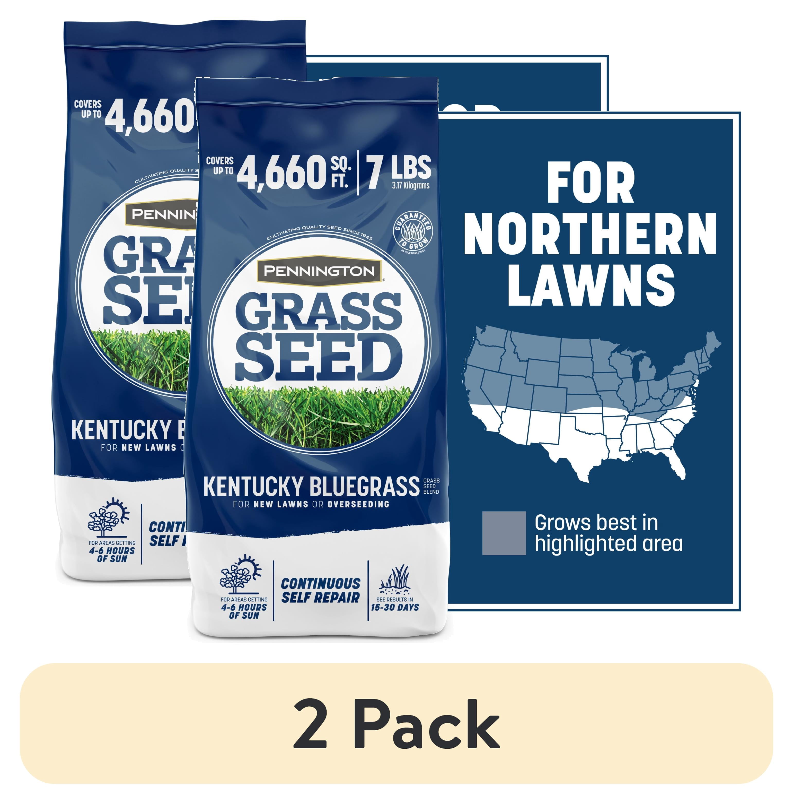 (2 pack) Pennington Kentucky Bluegrass Northern Grass Seed Mix for Sun to Partial Shade, 7 lb
