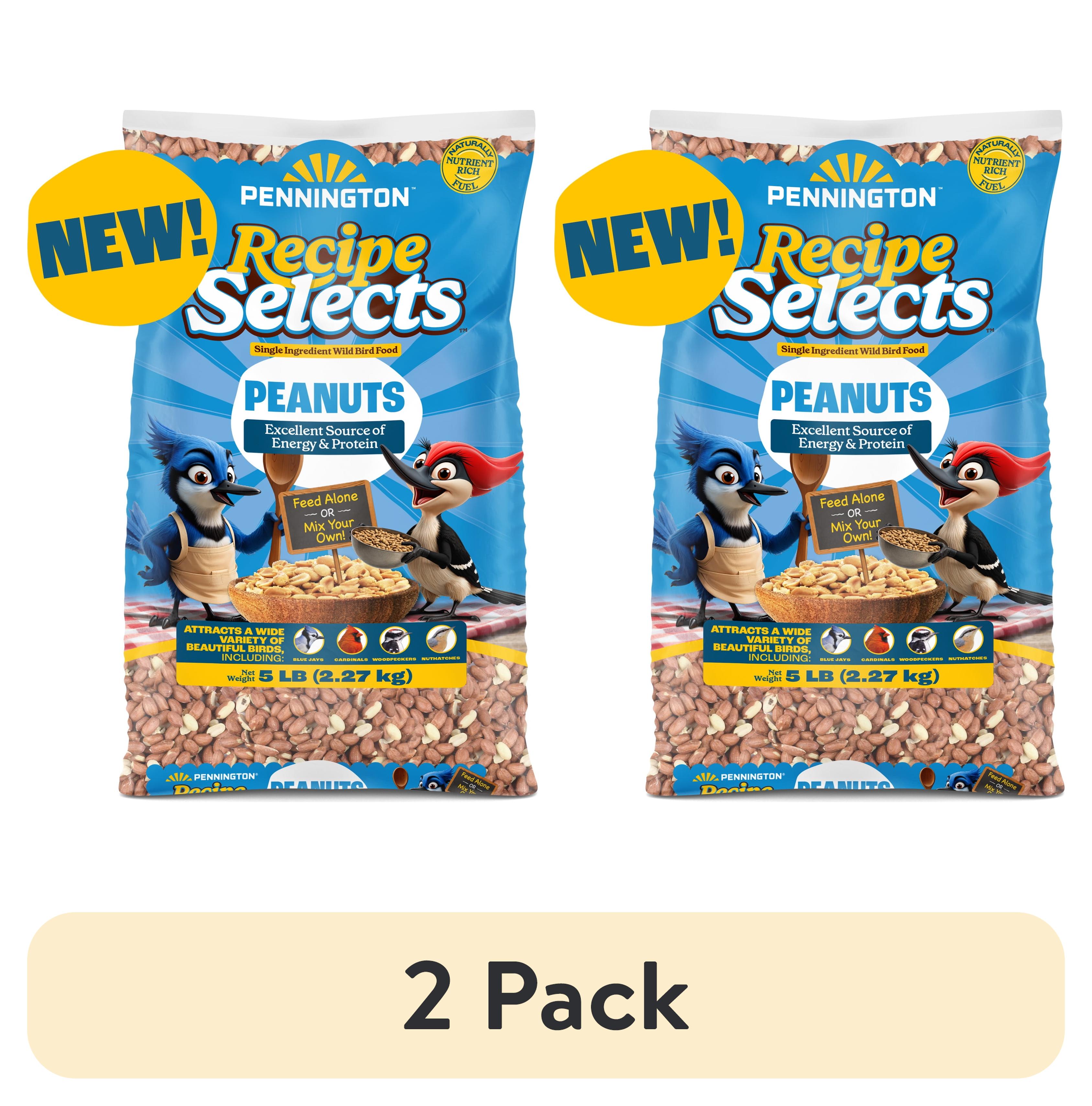 (2 pack) Pennington Recipe Selects Shell Free Whole Peanuts for Birds and Wildlife, Wild Bird Food, 5 lb Bag, Dry