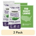 thumbnail image 1 of (2 pack) Pennington Smart Seed Dense Shade Grass Seed Mix, for Partial to Full Shade, 7.0 lb. New Bag, 1 of 20