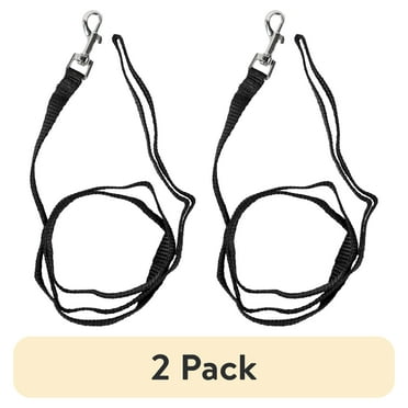 (2 pack) Pet Champion 4' Metal Standard Dog Leash, Black, S