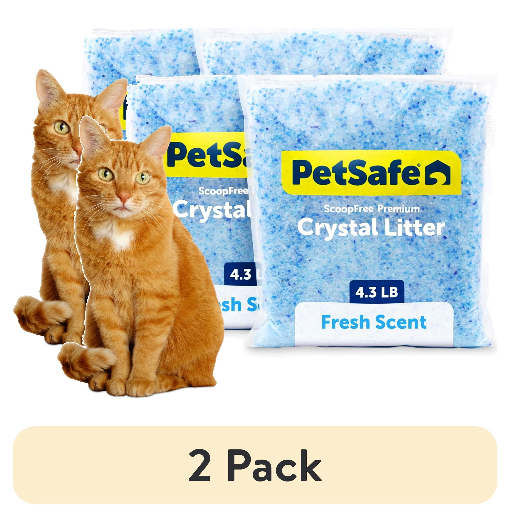 (2 pack) PetSafe ScoopFree Premium Crystal Cat Litter, Fresh Scent, Silica Crystals, 4.3 lb, 2-Pack, Blue