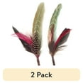 thumbnail image 1 of (2 pack) Pheasant Hackle Guinea Hat Trim 2pc-Champagne And Mint, 1 of 3