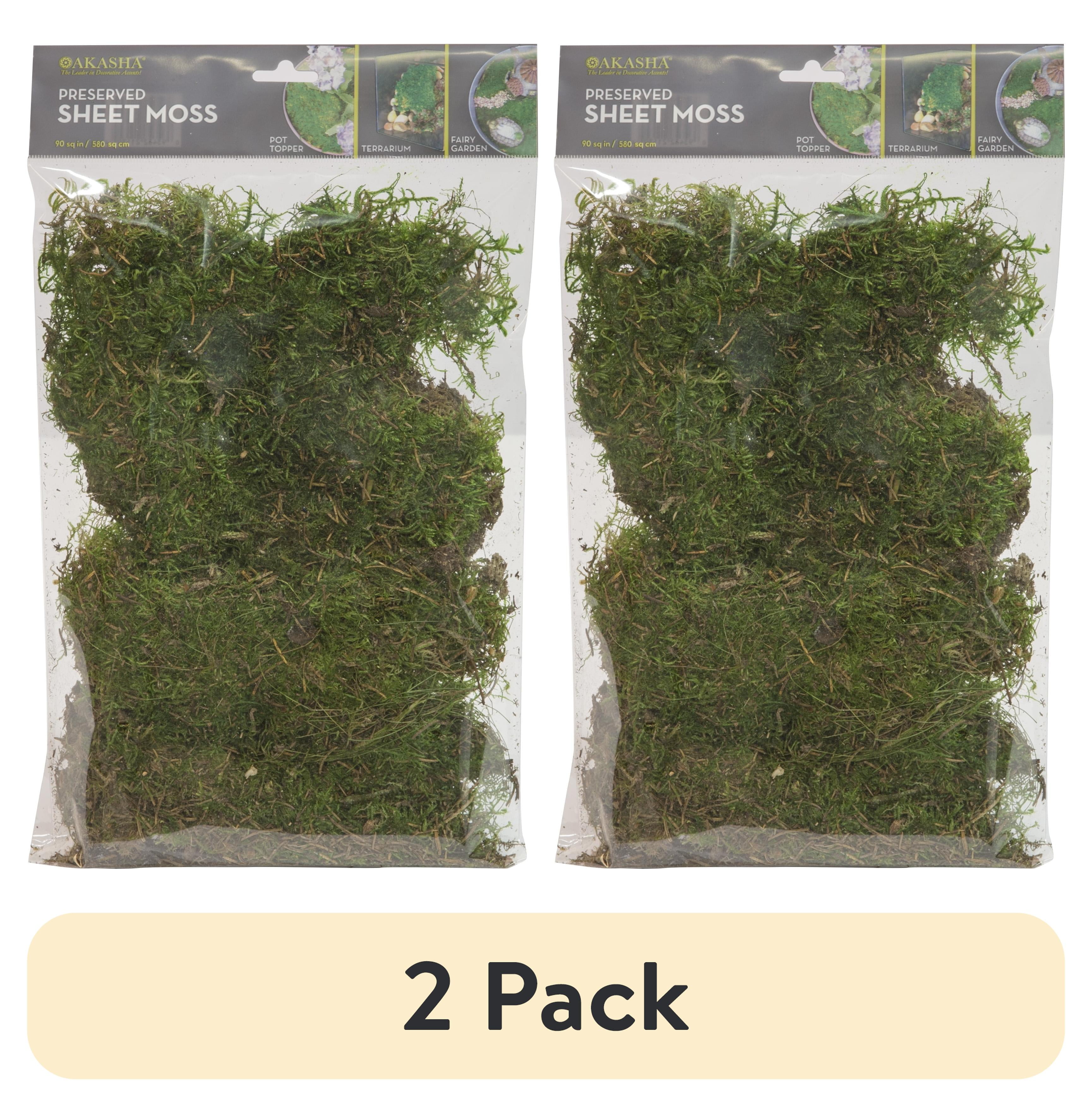 (2 pack) Planter and Terrarium Sheet Moss, Green, 2 oz. Bag, 1" L x 7" Wide x 11" H, Indoor / Outdoor Use