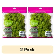 (2 pack) ProFlora Preserved Reindeer Moss, Chartreuse Green