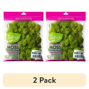 (2 pack) ProFlora Preserved Reindeer Moss, Chartreuse Green