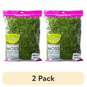 2 pack ProFlora Spanish Moss True Green, 16oz Floral Arranging Supplies