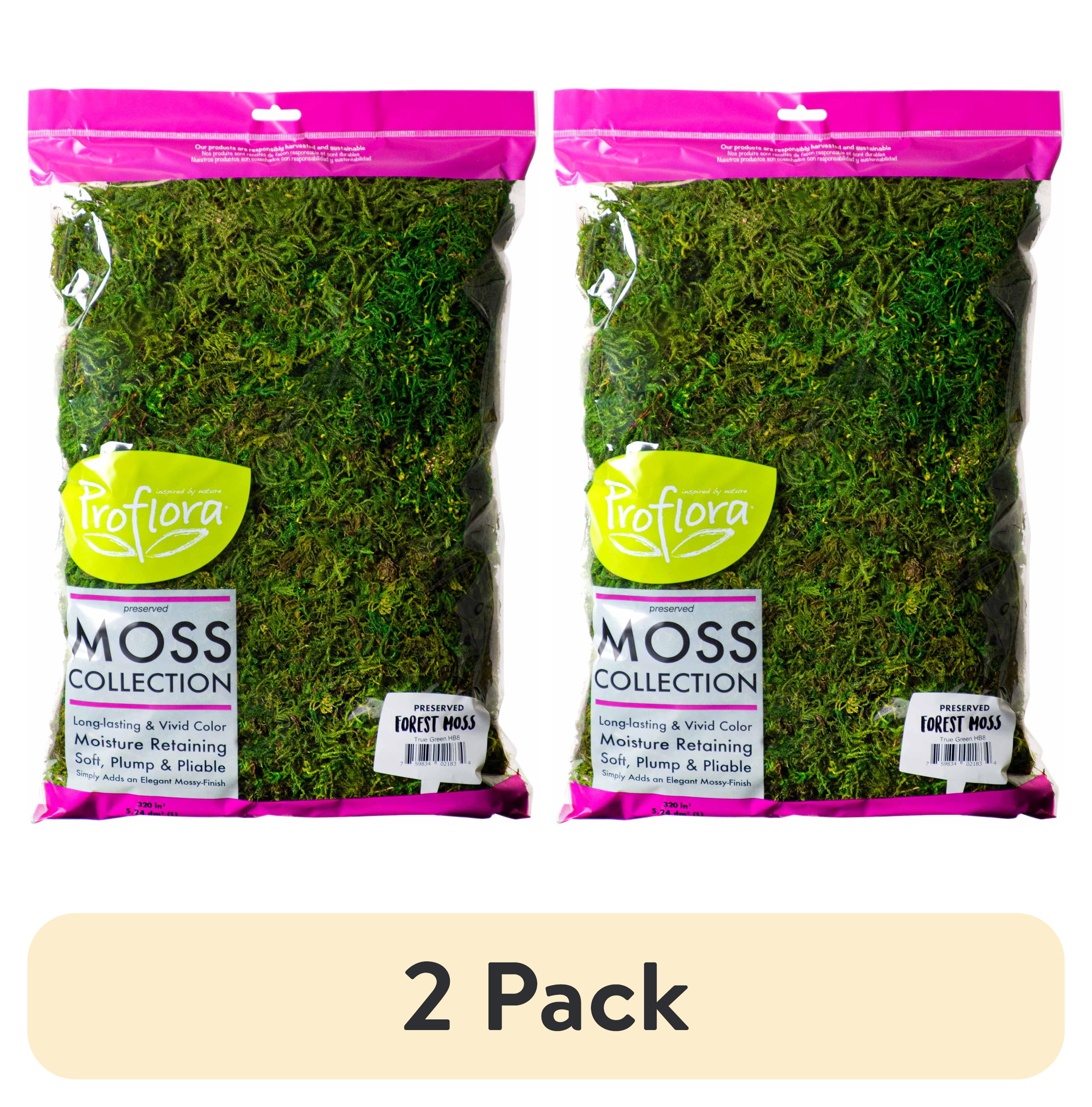 【美品】MOSS LEGIT 163cm 5