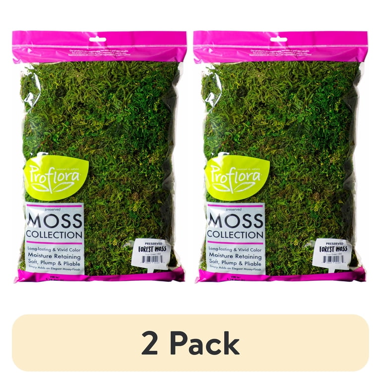 22-23 MOSS TWISTERprospect 155cm 中古ケース付き ProFlora 2 Pack True Green Preserved Forest Moss 320 CU in for